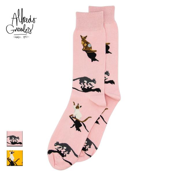 AtbhSUX C fB[X Y uh  \bNX N[\bNX lR ˂ Lbg   킢 sN