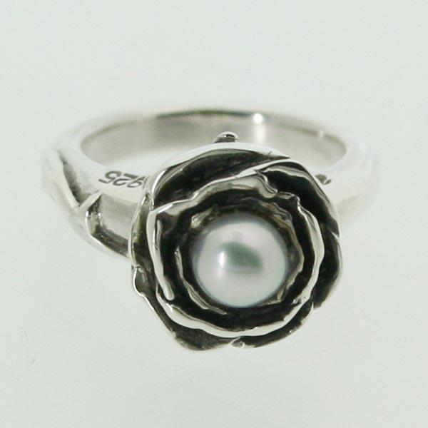 sL[O Vo[ w   6 a p[ ^ ROSE o 1 3