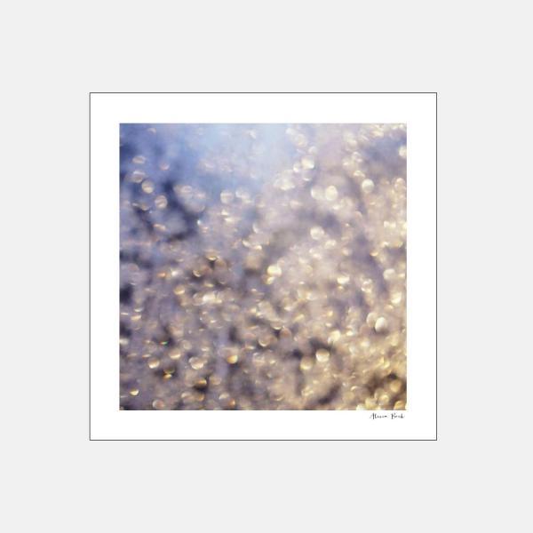 Alicia Bock Photography / Winter Aglow 254×254mm | 8"×8"/アリシアボックフォトグラフィ/ポスター/写真/アート/フォトグラファー/光 | 118156