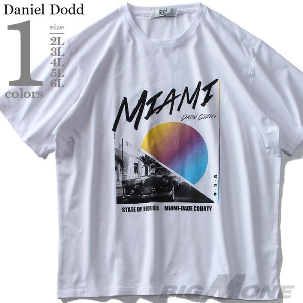 DANIEL DODD ベア天 プリント 半袖 Tシャツ MIAMI  azt-1902155