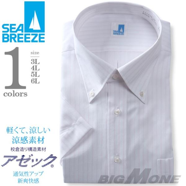 2点目半額 SEA BREEZE シーブリーズ 半袖 ワイシャツ ボタンダウン 形態安定  ehcb26-54