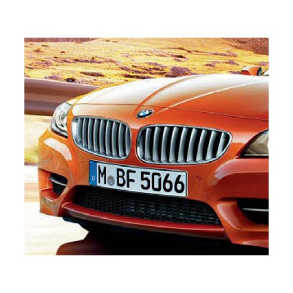BMW グリル E89 Z4 チタングリル セット : BMモーターパーツ - 通販
