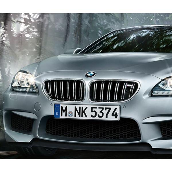 BMW F06 グランクーペ M6 フロント グリルセット