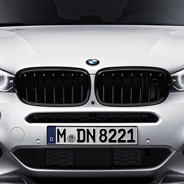 BMW 純正 F15 F16 X5 X6 M Performance ブラック キドニー