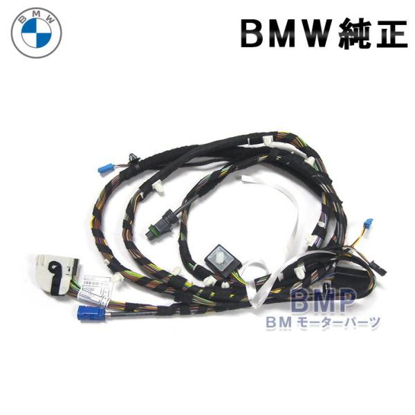 bmp_61126830397
