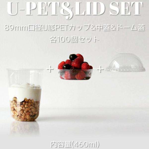 テイクアウト クリアPETカップU底 460ml＆穴無しドームフタ＆インサートカップ おしゃれ フタ付き 100個セット EC139