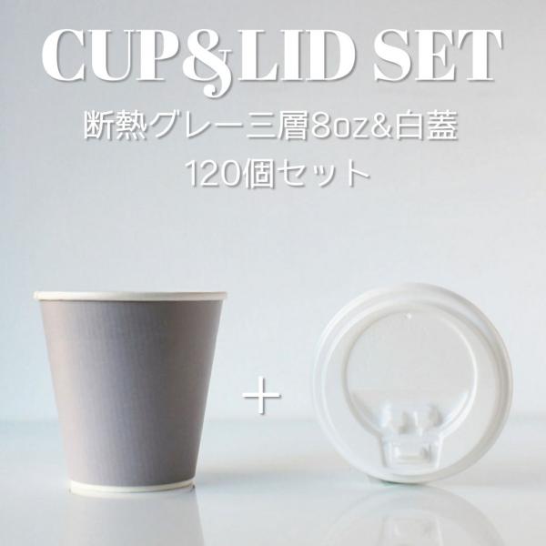 断熱グレー 8オンス 三層紙カップ ＆ ホット用白蓋 120個セット