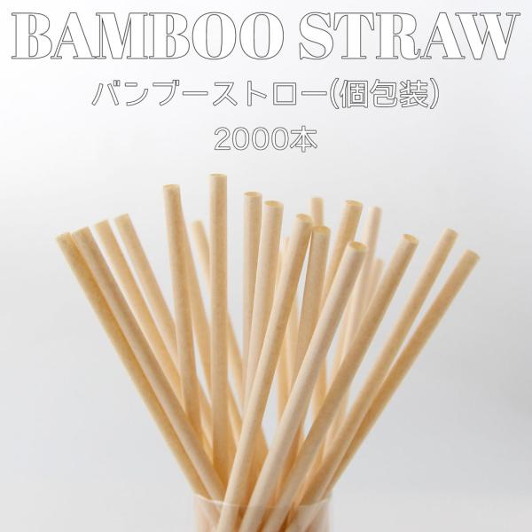 6mm口径 テイクアウト おしゃれ エコ バンブー 竹 ストロー エコストロー 個包装  2000本