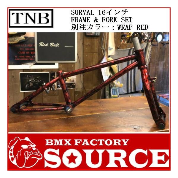 bmx-source_tnb-surval16-wrapred