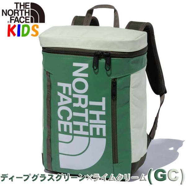 bnc2_nfnmj82255