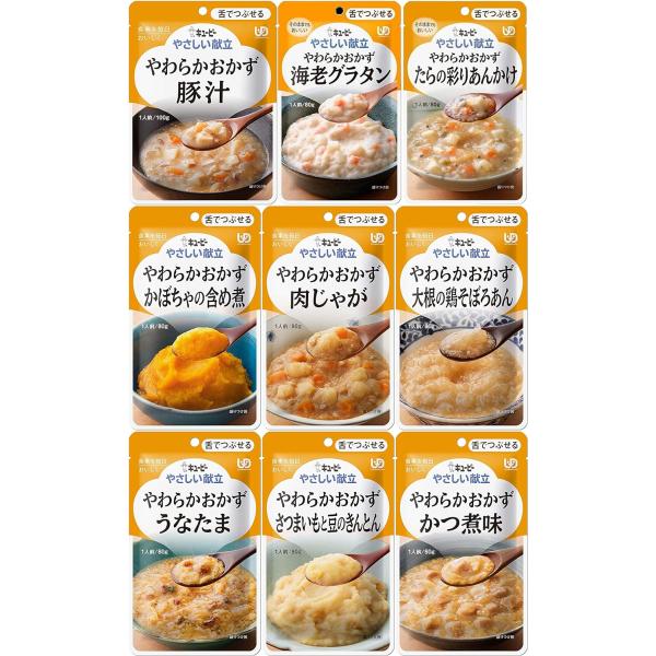 【MOMO様取り置き①】やさしい献立　介護食　まとめ売り　258点 bnet_4901577041259-1