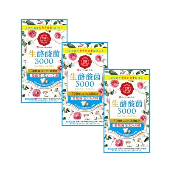 ミナミヘルシーフーズ 生酪酸菌3000 60カプセル×3【3個セット】【ネコポス】サプリ ビフィズス菌 菌活 腸活 腸内フローラ