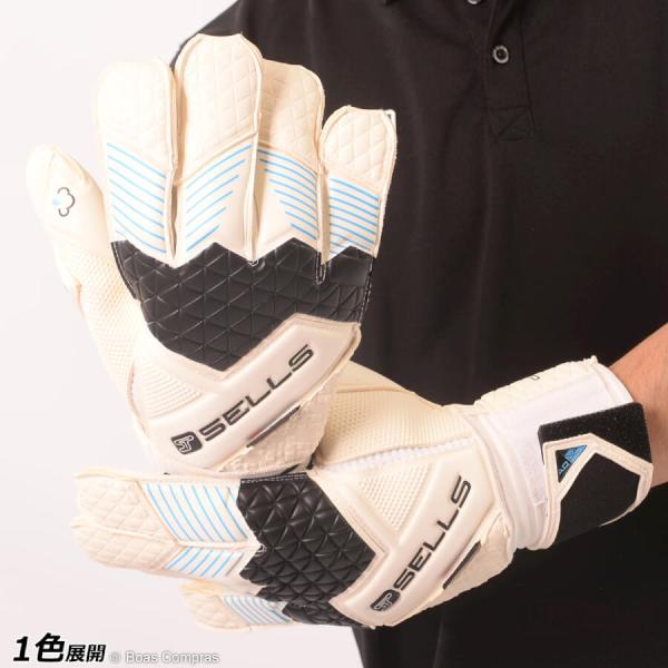 セルス トータルコンタクト エリート アクア カンピオーネ【送料