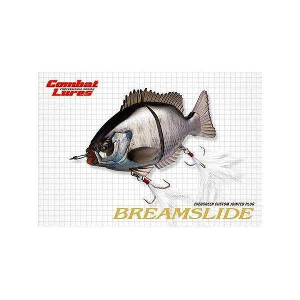 EverGreen（エバーグリーン） BREAM SLIDE/ブリムスライド