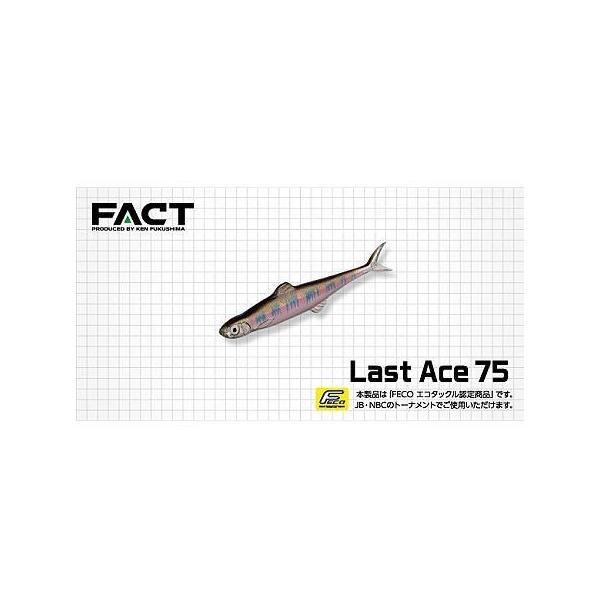 EVER GREEN/Go[O[@Last Ace 75/XgG[X75@FecoF@y[։z