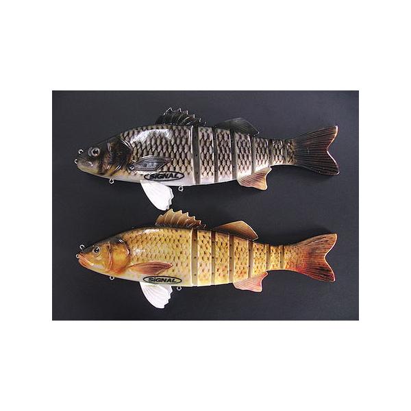 boat-tacklecruise_signal-teaser