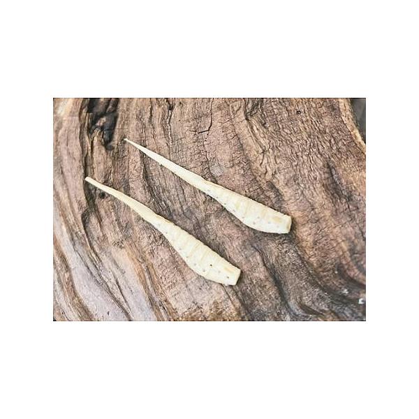 SIKA BAIT/シカベイト　MIDST SEEKER/ミドストシーカーピンテール　4インチ　Feco+認定　【メール便可】