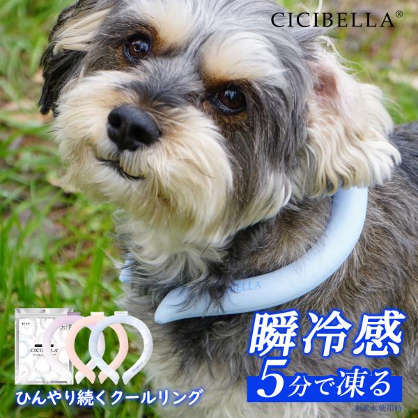 クールリング アイスクールリング ネッククーラー 冷感リング ひんやりリング クールネック スマートアイス リングクール 防災グッズ 送料無料 cicibella