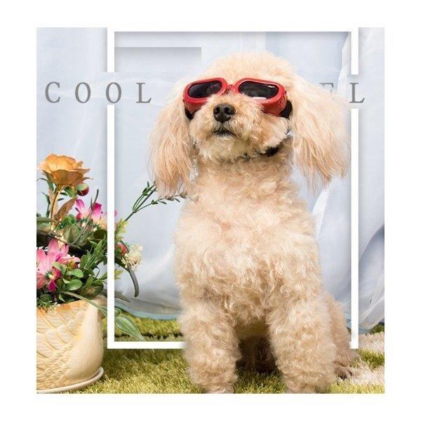 小動物 犬 猫 サングラス メガネ アクセサリー かわいい インスタ映え ペットグッズ Sns Dogsan002 Firststeplandscaping Com