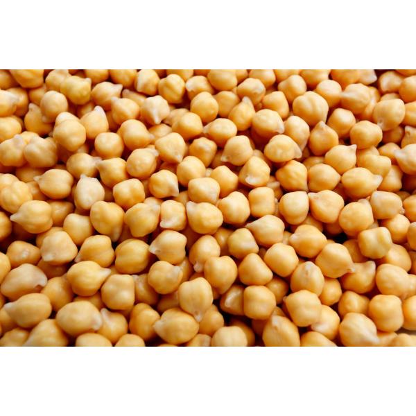 ひよこ豆 1kg - chickpea beans - garbanzo - white chana - dau ga