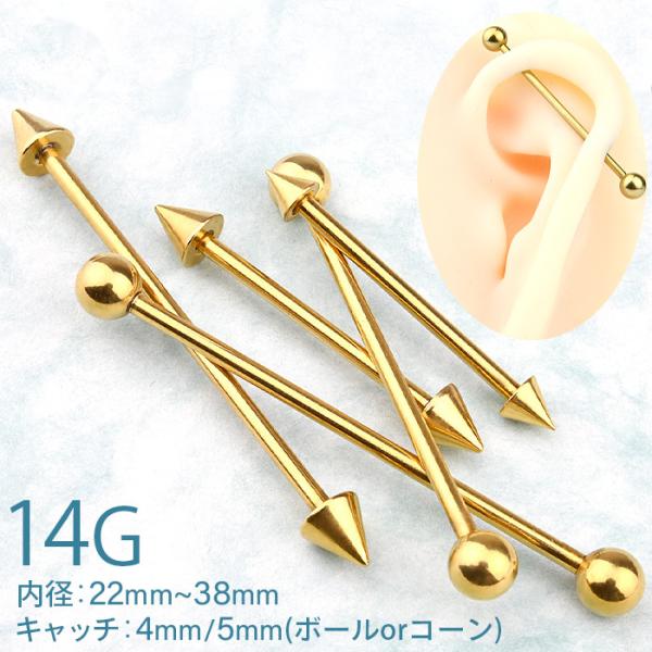 C_XgA sAX 14g {fBsAX sAX Vv AM[Ή T[WJXeX S[h o[x Vv