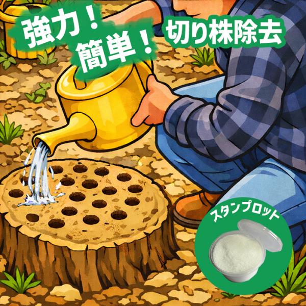 切り株除去剤 スタンプロット ガーデニング 園芸 除草剤 自力 除去剤 日本製 シロアリ対策 切り株 抜根 掘削 枯らす 腐らせる 方法 庭 リフォーム 造園 邪魔