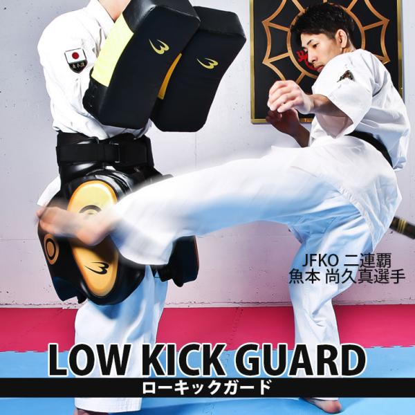 ローキックの衝撃を吸収し、実戦さながらの攻撃を可能に。ウエスト はまで対応可能です。ターゲットのドットのデザインはより正確なキック実現できます。サイトのプロテクター部分更にパッドが付いています。※左右一組売り■サイズ：L２５×W２０×T５c...