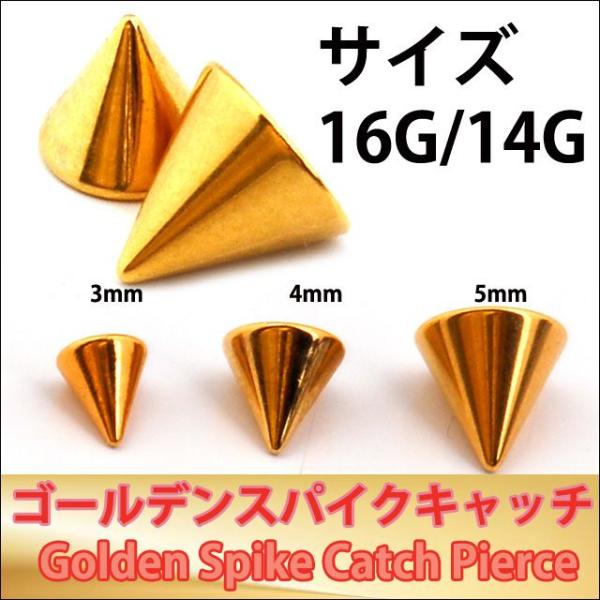 {fBsAX 16Gp 14Gp IׂXpCNTCY S[h Op` R[ sAXLb` XeXsAX