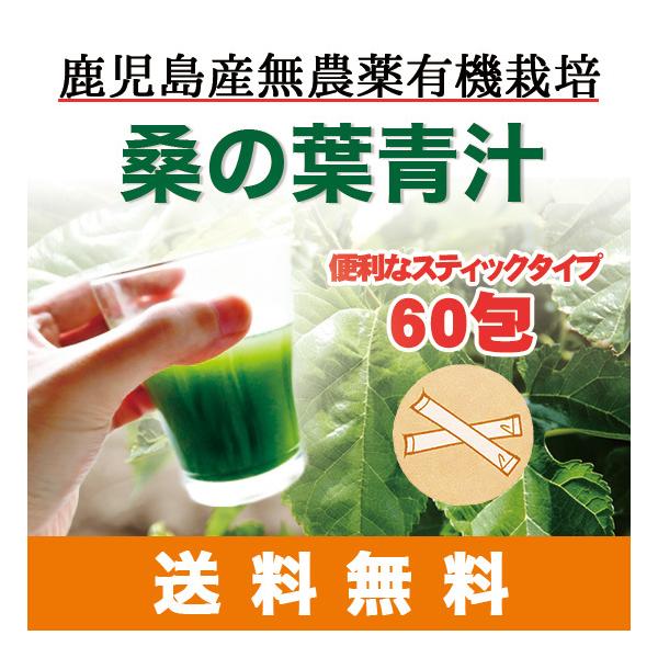 鹿児島県産無農薬　桑の葉パウダー　2g×60包　桑の葉青汁　プロテインと一緒にも賞味期限：製造から2年※期限まで365日以上の商品をお送りします