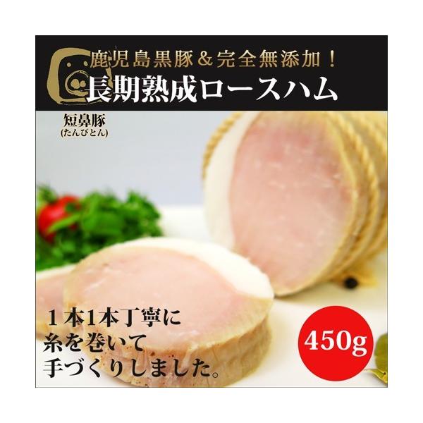 Ε Mtg v[g|\lpB 󏭌̎ ō n Y[Xni450gj /j O 