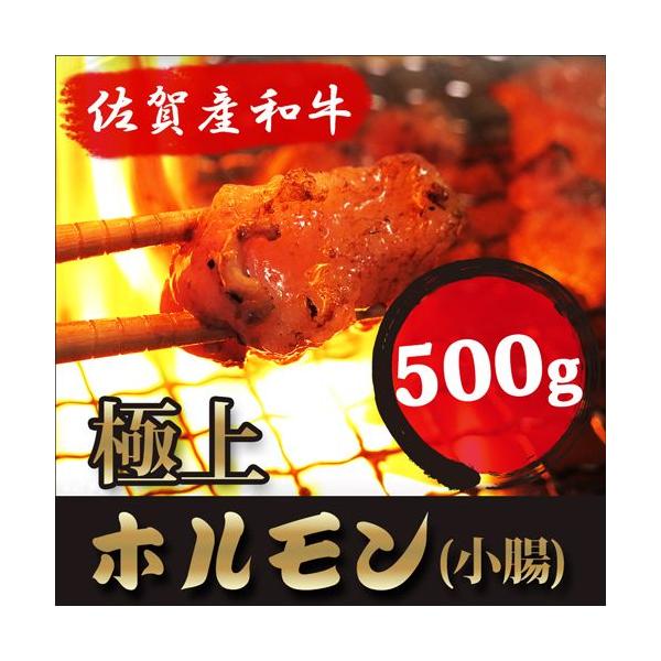 ギフト プレゼント 当店限定 黒毛和牛 （佐賀産和牛） ホルモン 500g （小腸 100％） 極旨 牛モツ もつ鍋 もつ煮 焼肉 国産