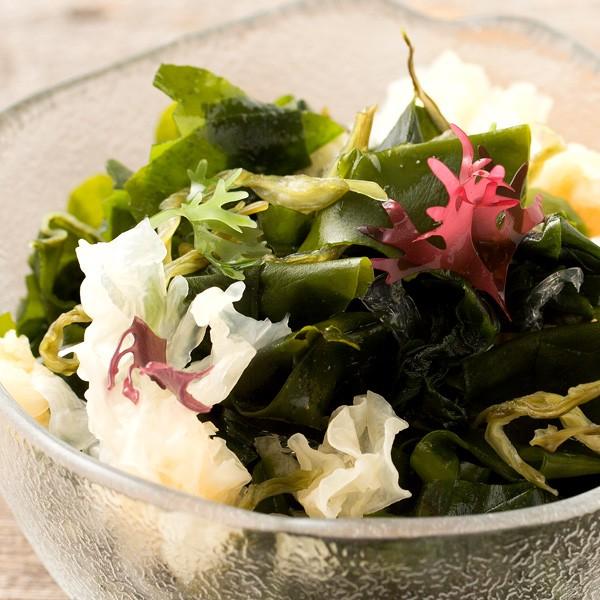 海藻サラダ 10種類の寒天海藻サラダ 100g 送料無料 寒天 かんてん ワカメ わかめ キクラゲ きくらげ Buyee Buyee 日本の通販商品 オークションの代理入札 代理購入