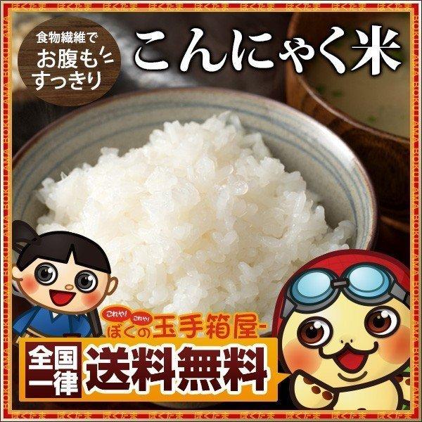 こんにゃく米 850g 蒟蒻米 コンニャク 訳あり 業務用 お試し 送料無料 糖質オフ マンナン マンナンヒメ 無添加 無農薬 訳あり食品 1kgより少し少ない850g A ぼくの玉手箱屋ー 通販 Yahoo ショッピング