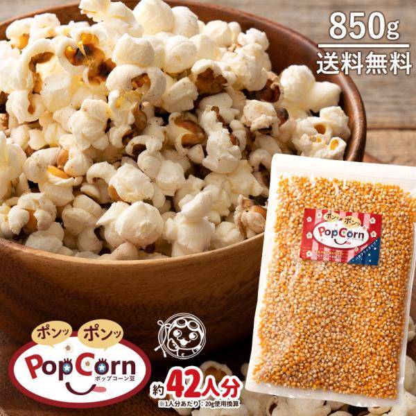 ポップコーン豆 バタフライタイプ 850g 約42人分 送料無料 業務量 ポイント消化 おやつ パーティー 1kgより少し少ない850g H ぼくの玉手箱屋ー 通販 Yahoo ショッピング