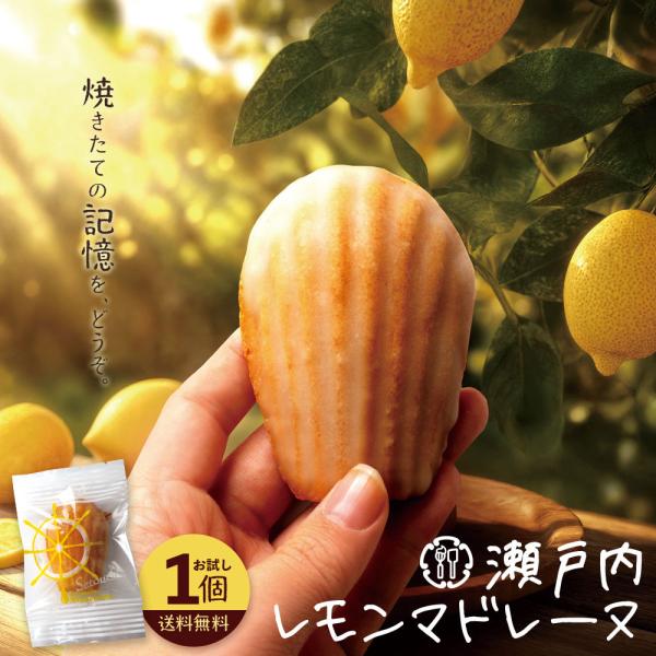 ワンコイン マドレーヌ 「瀬戸内レモン香る大浜マドレーヌ 瀬戸内レモンマドレーヌ お試し1個」 送料無料 焼き菓子 スイーツ 個包装 ポイント利用