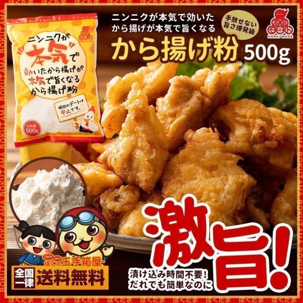 唐揚げ粉 からあげ ニンニクが本気で効いたから揚げが本気でうまくなる から揚げ粉 500g 唐揚げ粉 粉 からあげ グルメ I ぼくの玉手箱屋ー 通販 Yahoo ショッピング