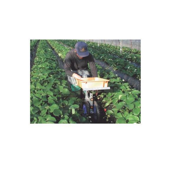 nbNX NG A~np RS-700S