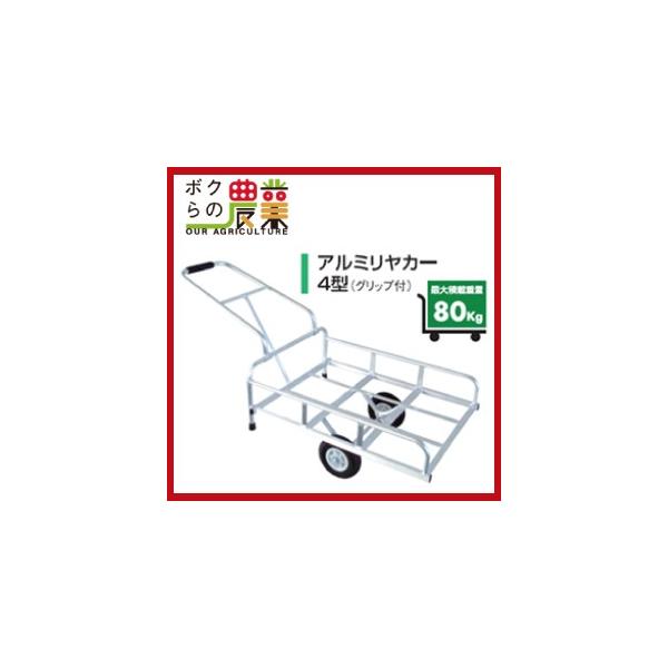 A~J[ A~X 4^ Obvt ő׏d80kg x y m[pN^C ܂肽 ALUMIS