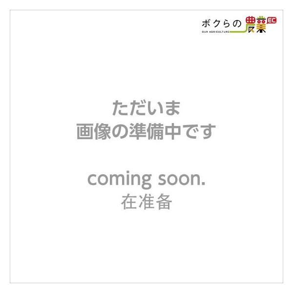 ێR쏊 Xel 28G^ 408759 p p p[c mY