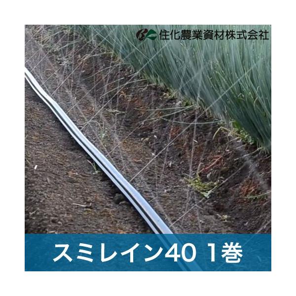住化農業資材 灌水チューブ スミレイン40 WB3611 100M × 1巻 露地向け