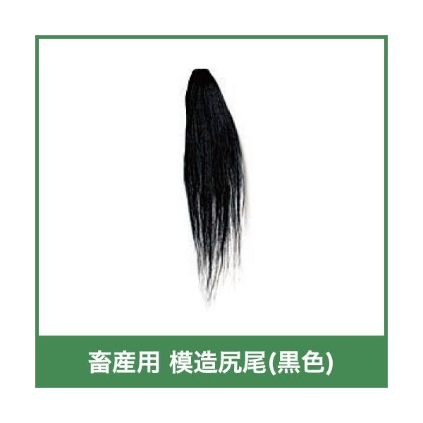 {Yp ͑ K Vb| F 15151  Mp i Rې {Y _ q{ YƓ   { ƒ{ {Ypi