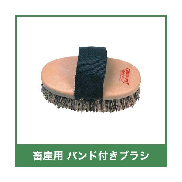 {Yp ohtuV ꗎƂ 12260 {Y _ q{ YƓ   { ƒ{ {Ypi _pi Ɩp _ _