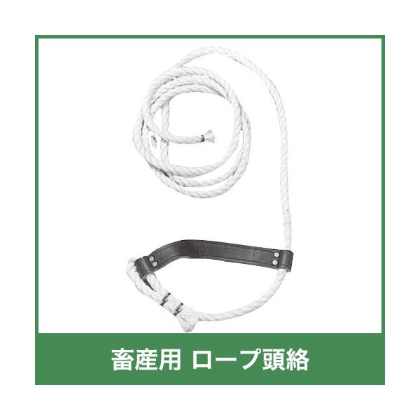 {Yp [v voht 32720 {Y _ q{ YƓ   { ƒ{ {Ypi _pi Ɩp _ _