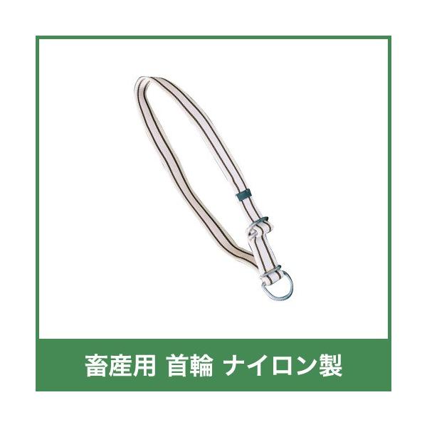 {Yp  iC 106cm 32860 Ay 4cmE0.3cm {Y _ q{ YƓ   { ƒ{ {Ypi _pi