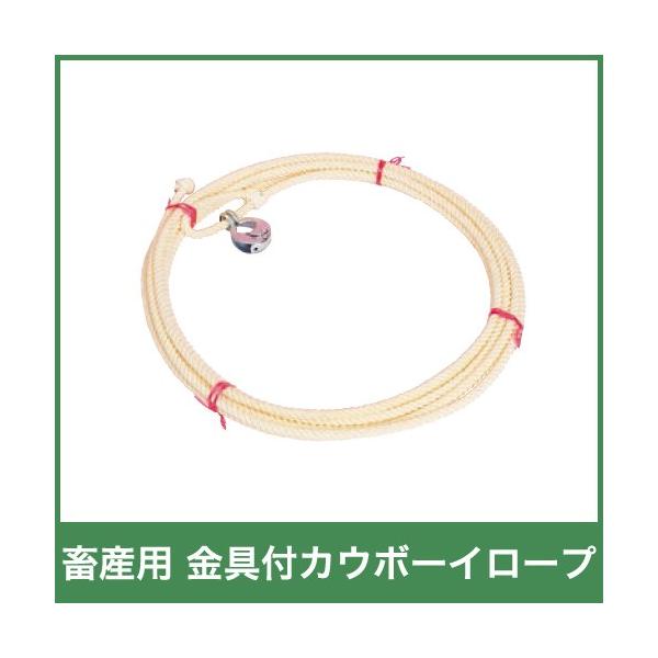 {Yp JE{[C[v t 54314 {Y _ q{ YƓ   { ƒ{ {Ypi _pi Ɩp _ _