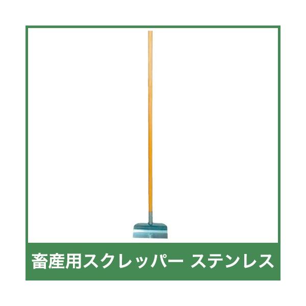 {Yp XNbp[ XeX _Ɨp 38489 S144cm 27cm