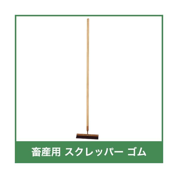 {Yp XNbp[ S _Ɨp 38500 S161cm 30cm XRbv Vx {Y _ q{ YƓ   { ƒ{ {Yp