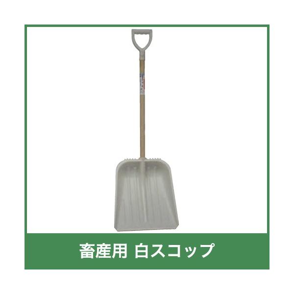 {Yp XRbv _Ɨp 38622 S118cm n37cm n42cm XRbv Vx {Y _ q{ YƓ   { ƒ{