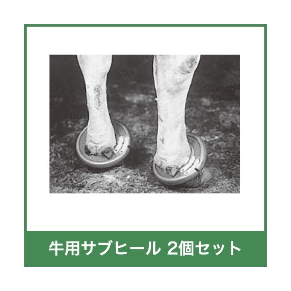 p Tuq[ 2Zbg {Yp Â nh~ 51720 {Y _ q{ YƓ  ƒ{ {Ypi _pi Ɩp _ _