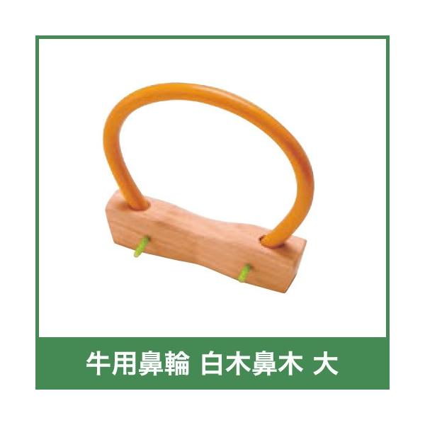 p ؕ@ @  {Yp 54225 a {Y _ q{ YƓ   { ƒ{ {Ypi _pi Ɩp _ _